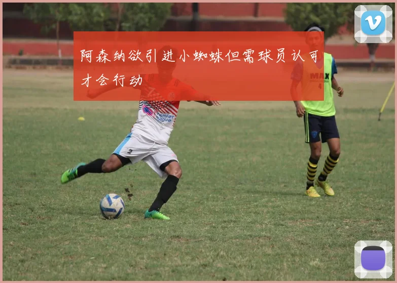 阿森纳欲引进小蜘蛛但需球员认可才会行动
